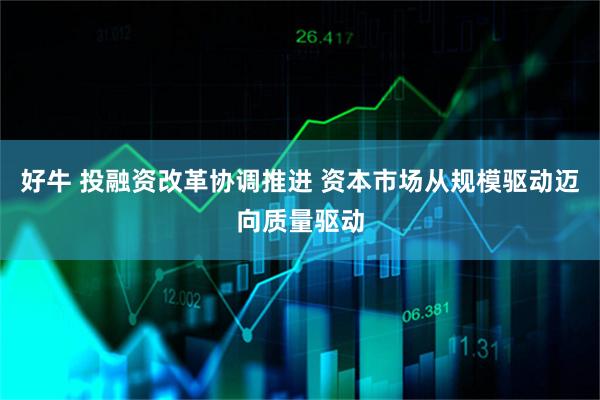 好牛 投融资改革协调推进 资本市场从规模驱动迈向质量驱动
