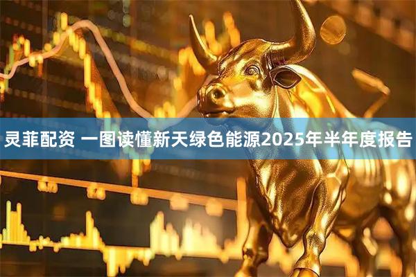 灵菲配资 一图读懂新天绿色能源2025年半年度报告