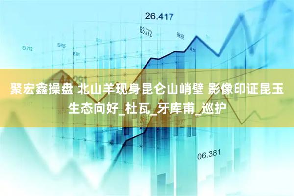 聚宏鑫操盘 北山羊现身昆仑山峭壁 影像印证昆玉生态向好_杜瓦_牙库甫_巡护