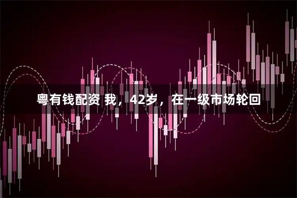 粤有钱配资 我，42岁，在一级市场轮回