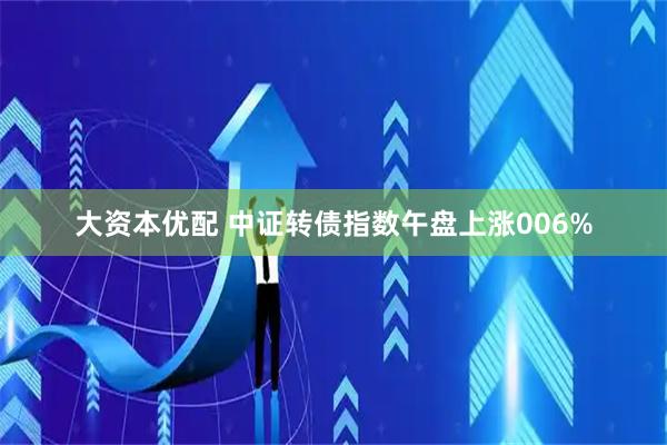 大资本优配 中证转债指数午盘上涨006%