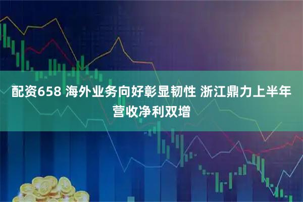 配资658 海外业务向好彰显韧性 浙江鼎力上半年营收净利双增