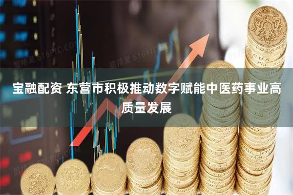 宝融配资 东营市积极推动数字赋能中医药事业高质量发展