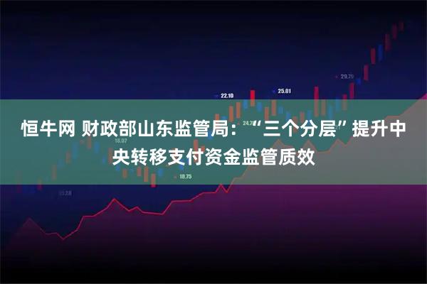 恒牛网 财政部山东监管局：“三个分层”提升中央转移支付资金监管质效