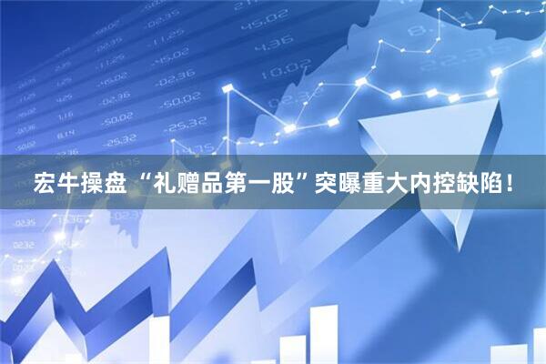 宏牛操盘 “礼赠品第一股”突曝重大内控缺陷！