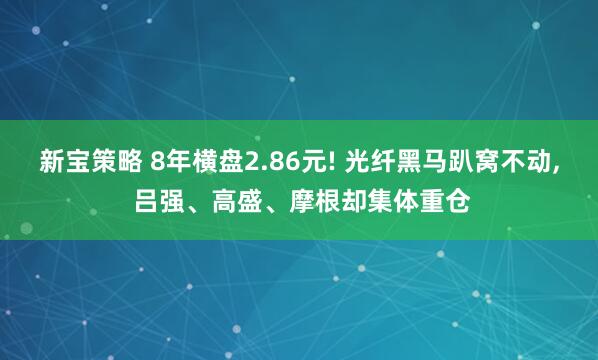 新宝策略 8年横盘2.86元! 光纤黑马趴窝不动, 吕强、高盛、摩根却集体重仓