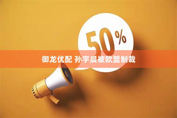 御龙优配 孙宇晨被欧盟制裁