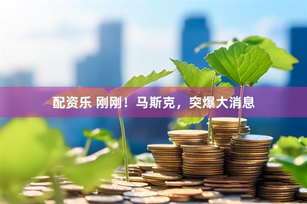 配资乐 刚刚！马斯克，突爆大消息