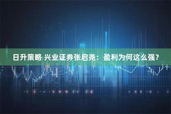 日升策略 兴业证券张启尧：盈利为何这么强？